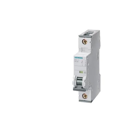 シメンス 5SY6216-7CC 低電圧配送断路器 6kA 2P C 解離 16A
